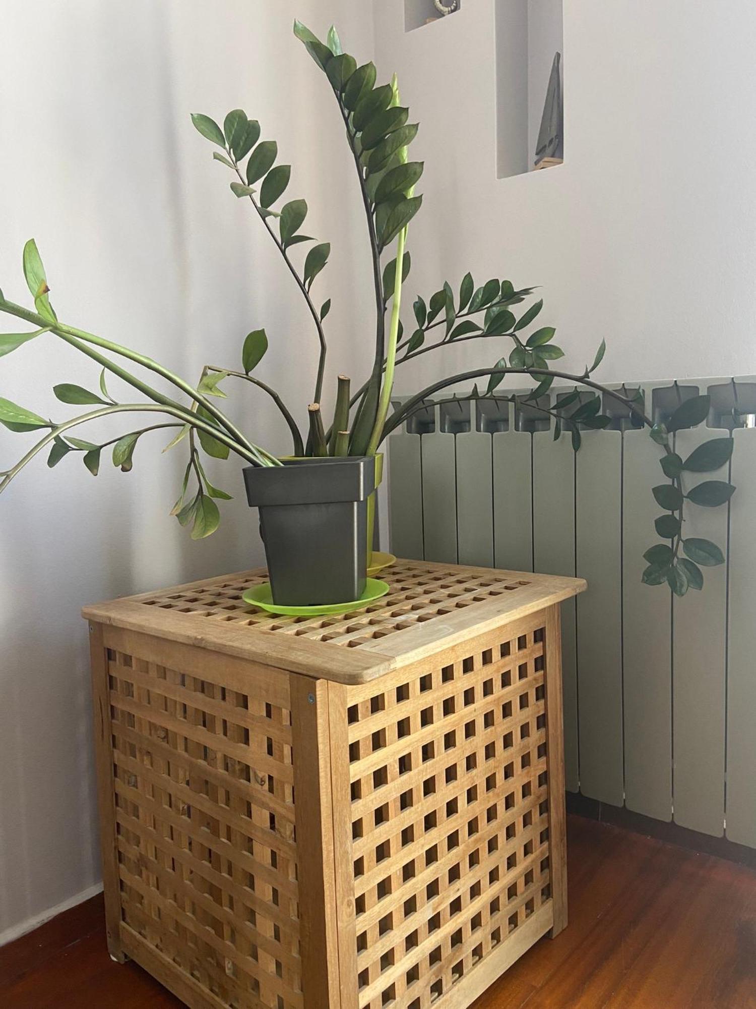 Brand New Brilliant Apartment At Athenian Riviera エクステリア 写真